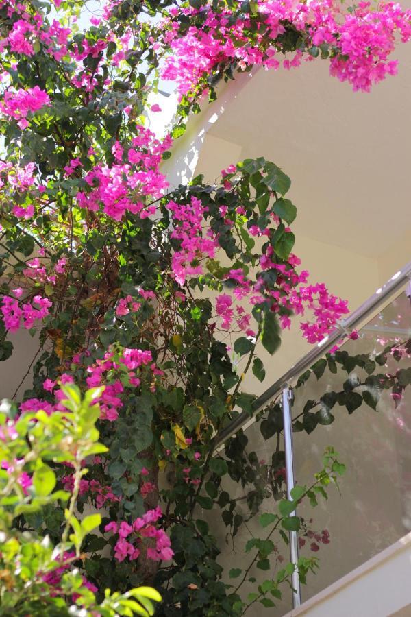 Acelya Otel Bodrum Bagian luar foto